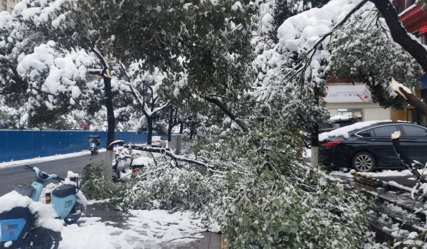 抗击冰雪，他们在行动
